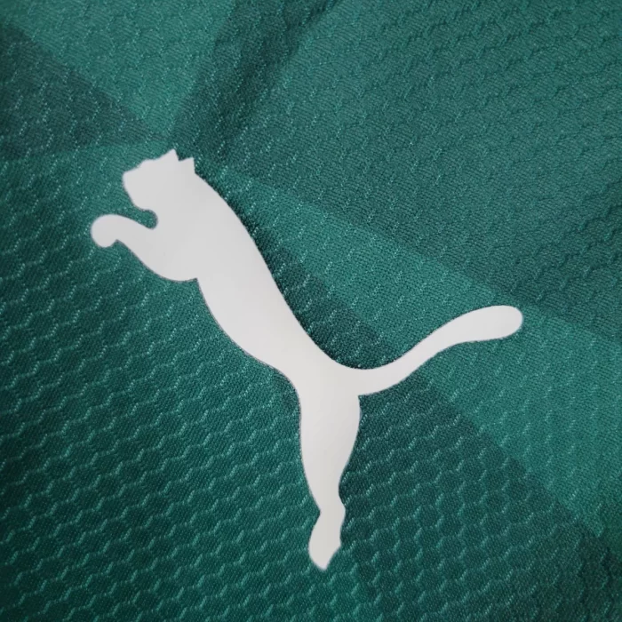 Camisa Palmeiras Home | Ano 23/24 | Torcedor - Image 8