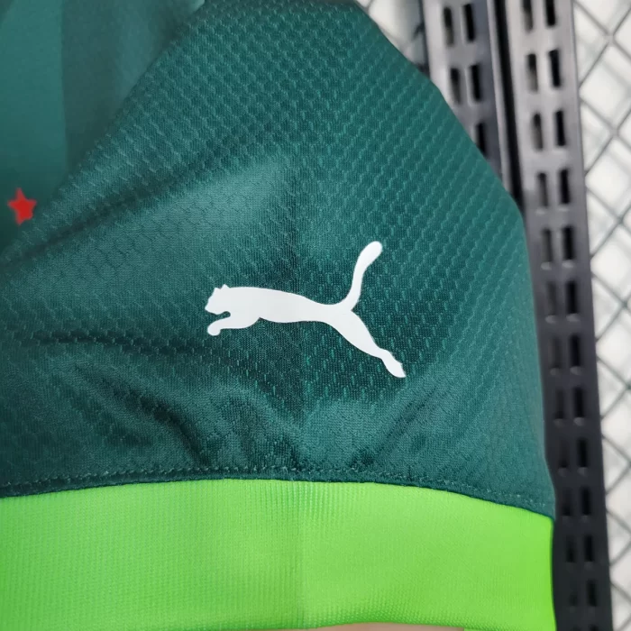 Camisa Palmeiras Home | Ano 23/24 | Torcedor - Image 5